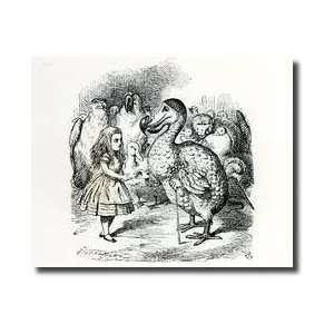  Alice Meets The Dodo Illustration From alices Adventures 