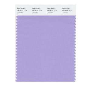  PANTONE SMART 15 3817X Color Swatch Card, Lavender