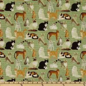  44 Wide Cats And Dogs Cat Toss Multi Fabric By The Yard 