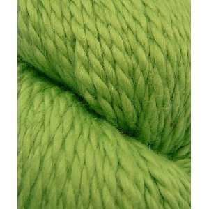  Misti Alpaca Yarn Pima Cotton & Silk   MA 6314 Kiwi