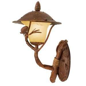   9161 PD Ponderosa Painted Outdoor Wall Sconce