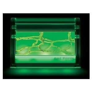    Illuminated Ant Farm Gel Colony by Uncle Milton Toys & Games