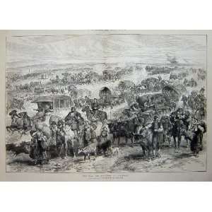   1876 War Scene Evacuation Alexinatz Horses Waggons Ox