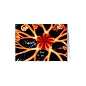  Tendrils from the Sea, Basket star Photo Card Health 