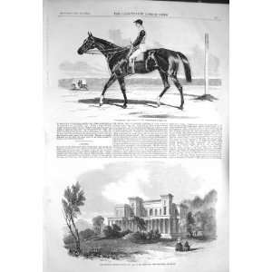    1856 VENGEANCE HORSE CHATEAU ELEANORA LOUISA CANNES