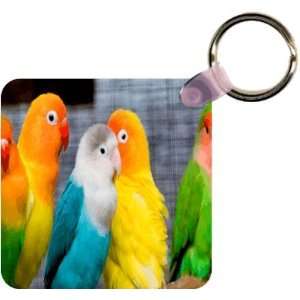  Yellow and Blue Budgies Art Key Chain   Ideal Gift for all 