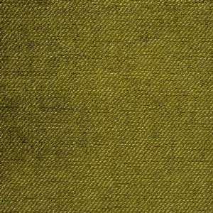  AMIENS CHENILLE Moss by Lee Jofa Fabric