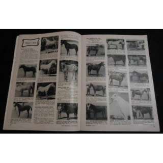   1957 Western Horseman Stock Horses Vintage Magazine ROY ROGERS Ad