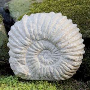  Campania Cast Stone Statue   Ammonite Artifact   Finished 
