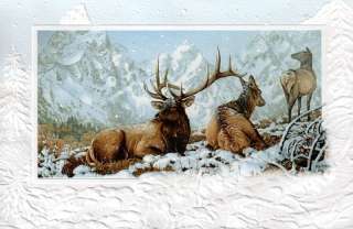 16 Boxed Embossed Christmas Cards Elk Wapiti  