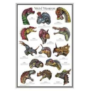 Weird Dinosaurs Educational Framed Print   Quality Silver Metal Frame 