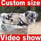 K9 Carts™ Standard Cart   Dog Wheelchair Adjustable For Pets 61 100 