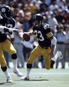 Mike Wagner Pittsburgh Steelers photo c869  