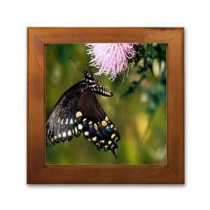 Framed Printed Ceramic Tile   Framed Art   6 x 6   Design Butterfly 