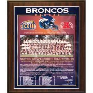  1998 Denver Broncos NFL Football Super Bowl 33 XXXIII 