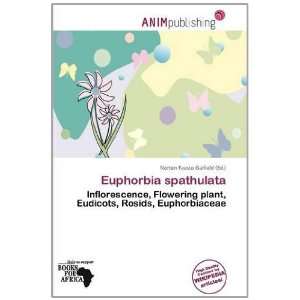   Euphorbia spathulata (9786139529148) Norton Fausto Garfield Books