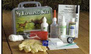 FOAL KIT by VSI FOALING CARE FOR YOUR MARE VSI 1007  