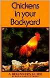 Chickens in your Backyard  A Beginners Guide A Beginners Guide
