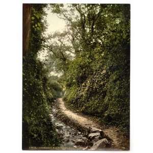  1890s photo Guernsey, water lane, Moulin Huet, Channel 