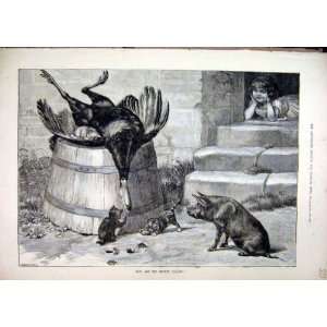  1885 Dead Turkey Pig Kitten Young Girl Doorstep Print 