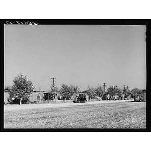   Fruit Company ranch,Kern County,California,CA,1940