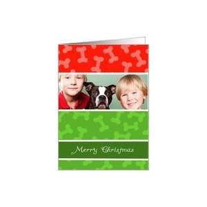 Cartoon Dog Bones Photo Card in Merry Christmas Colors Pets Card