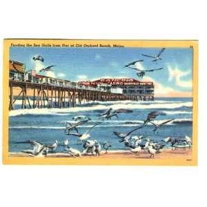  Old Orchard Beach Pier Linen Postcard Maine Everything 