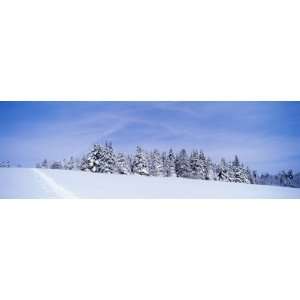  Winter Hillside with Ski Tracks, Vermont, USA Giclee 