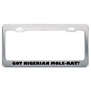 Got Nigerian Mole Rat? Animals Pets Metal License Plate Frame Holder 