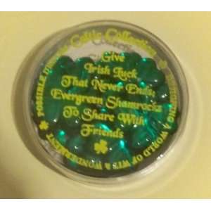   Collection~Container Of Shamrocks~Irish Luck That Never Ends NIB