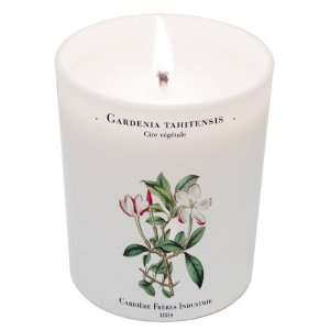   (Gardenia Tiare) Candle 6.7oz candle by Carriere Freres Industrie
