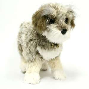  Fuzzy Nation Schoodle (Schnauzer and Poodle Hybrid) Pooch 