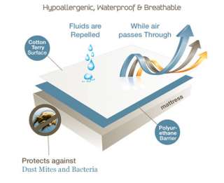 fluids stains and allergens offering a more sterile sleeping 