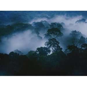  Morning Mist Enshrouds the Danum Valley Rain Forest in Northeastern 