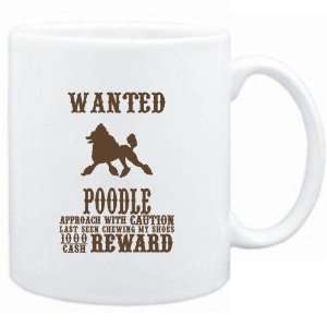   White  Wanted Poodle   $1000 Cash Reward  Dogs