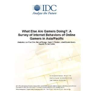 What Else Are Gamers Doing? A Survey of Internet Behaviors of Online 