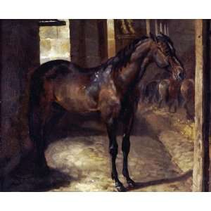  Anglo Arabian Stallion In The Imperial Stables at 