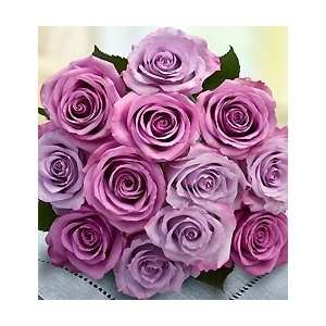 Flowers by 1800Flowers   Passion for Purple Roses