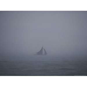  A Cat Boat Braves Foggy Stormy Weather Photographers 