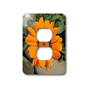 Taiche Photography   Flowers Marigold Orange   Light Switch Covers   2 