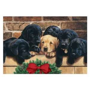   Card   Dogs And Puppies Holiday Greeting Card