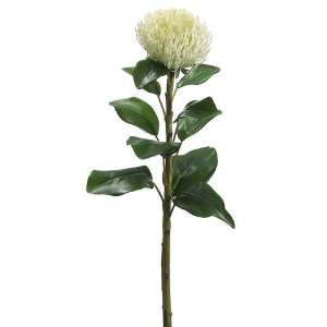   White Needle Protea Sugarbush Silk Flower Stems 28