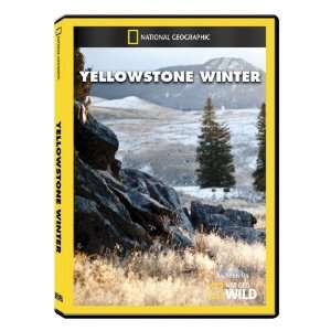  National Geographic Yellowstone Winter DVD Exclusive 