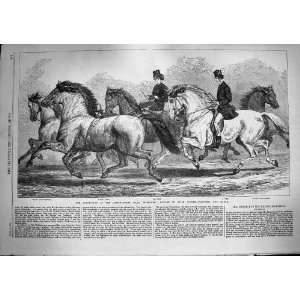   1868 Horse Show Agricultural Hall Islington Roan Rupee
