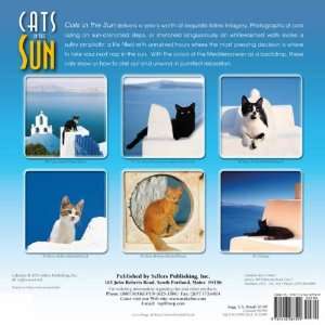  Cats in the Sun 2012 Mini Calendar