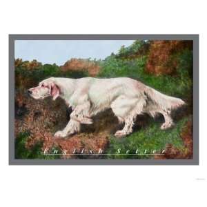  Typical English Setter Animals Giclee Poster Print, 16x12 
