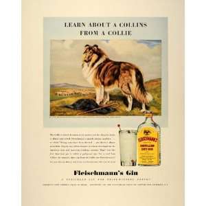  1940 Ad Fleischmanns Gin Collie Dog Tom Collins Drink 