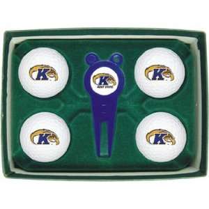 Kent State Unviersity Golden Flashes NCAA Golf Ball & Divot Gift Set
