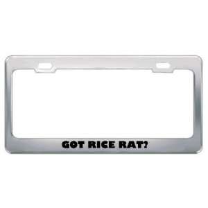 Got Rice Rat? Animals Pets Metal License Plate Frame Holder Border Tag