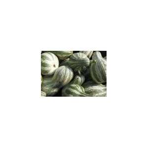  Cushaw Green Striped Pumpkin Seed   10g Seed Packet Patio 